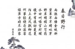 开云体育平台APP-桑巴风暴席卷多哈，维尼修斯领衔，巴西完胜伊朗锁定H组头名