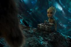 开云体育官网-冰与火之约，2026世界杯出线战，维尼修斯的致命一击如何撕裂恒河防线