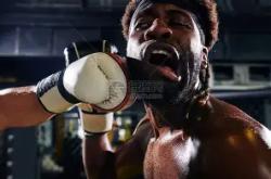 开云体育官网-拳击赔率刷新纪录，竞猜热度飙升