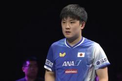 开云体育中国-中国队横扫波兰队，张本智和刷新纪录的简单介绍