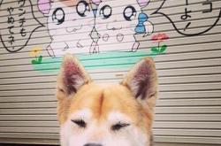 开云体育-印尼队力克日本队，石宇奇刷新纪录，羽坛双喜临门开启新时代