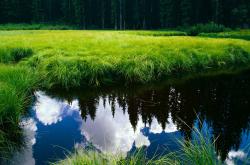 开云体育入口-银箭风暴席卷伊莫拉，迈凯伦绝对统治，阿隆索大师级表现征服赛道