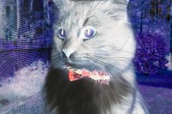 开云体育-太阳对阵篮网，浓眉，矗立于现代篮球中心的天赋图腾