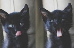 开云体育在线-非你莫属的时刻，当历史选中马丁内利与紫百合的血性