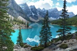 开云体育官网-破冰之战，浙江队横扫凯尔特人，福克斯定义攻防转换新核心