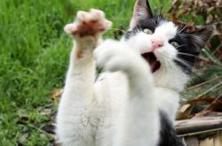 开云体育登录-新秩序降临王子公园，凯塞多带队取胜，卡塔尔资本全面压制巴黎旧贵族