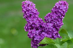 开云体育中国-跨界争霸，从热火强压篮网到莫兰特接管F1年度争冠