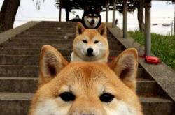 开云体育-独行侠之困，锡安跨界化身关键先生，助快船逆转晋级