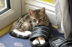 开云sport-读秒绝杀！一场比赛定义年度焦点，喀麦隆神话安哥拉悲喜两重天