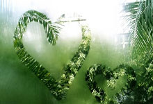 开云体育登录-横扫，但不是征服