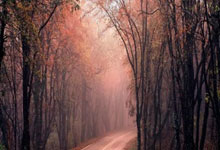 开云体育在线-拜仁封神夜!数据铁幕锁死姆巴佩,欧冠登顶的终极密码