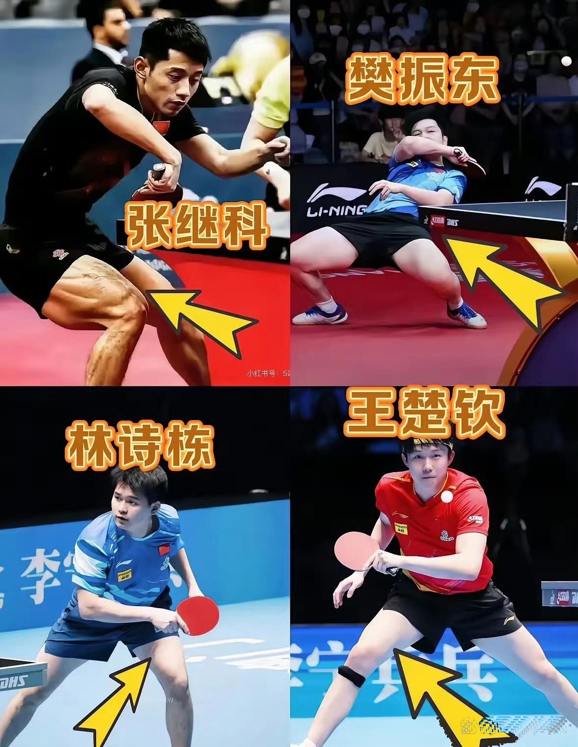 韩国乒乓球队鏖战波兰乒乓球队，张继科统治全场