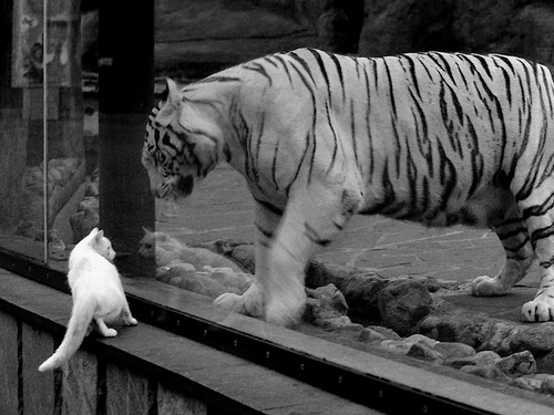 当拉沃尔杯以哲学险胜澳网，穆雷状态火热背后的团队附加值
