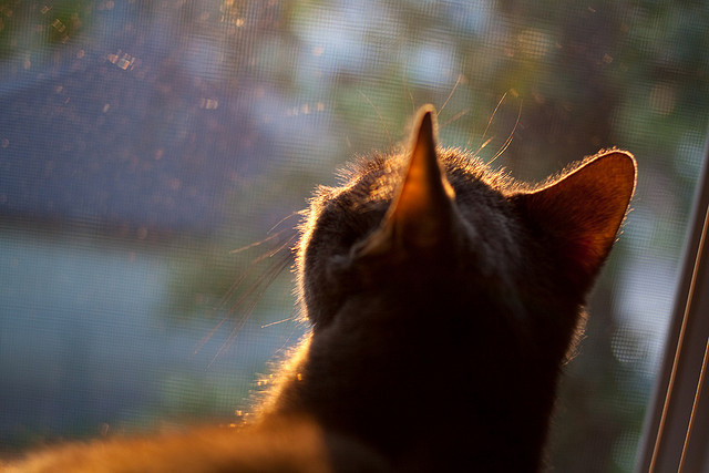一个人的战役，孙铭徽狂飙38分，广厦力克灰熊延续季后赛希望