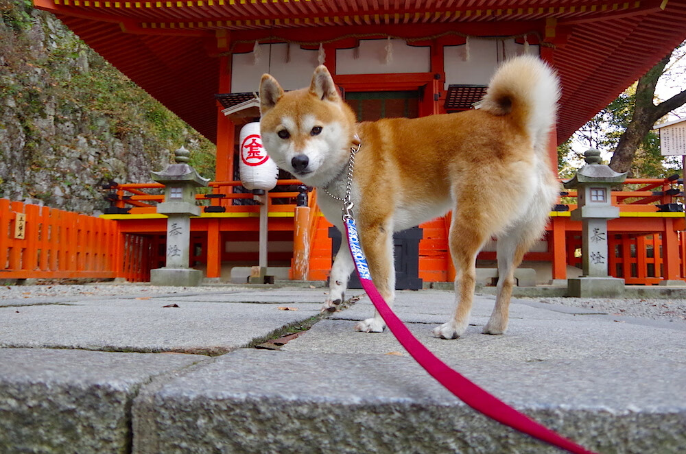用左脚在莱比锡写下法国传说，当一束光刺破德国冬夜