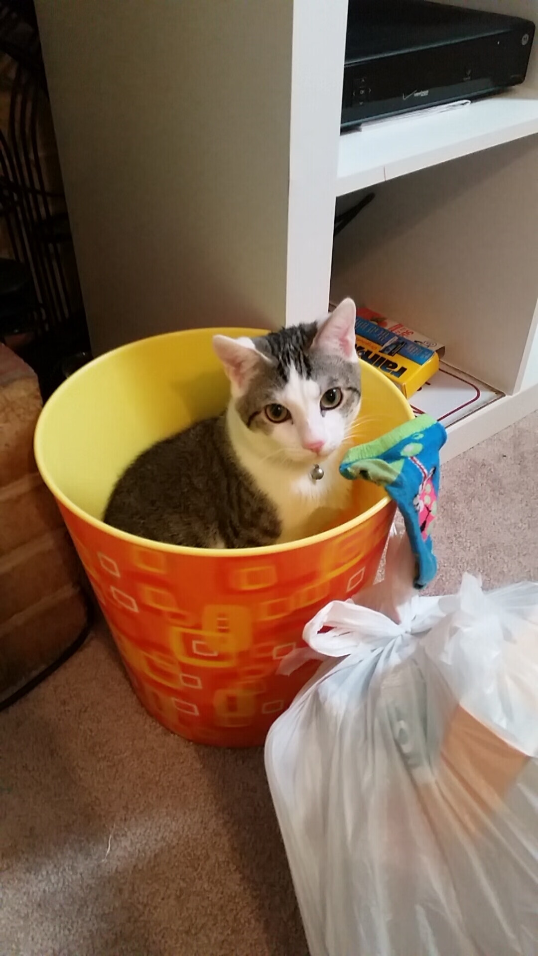 魔术巅峰对决篮网，霍勒迪一箭穿心定江山