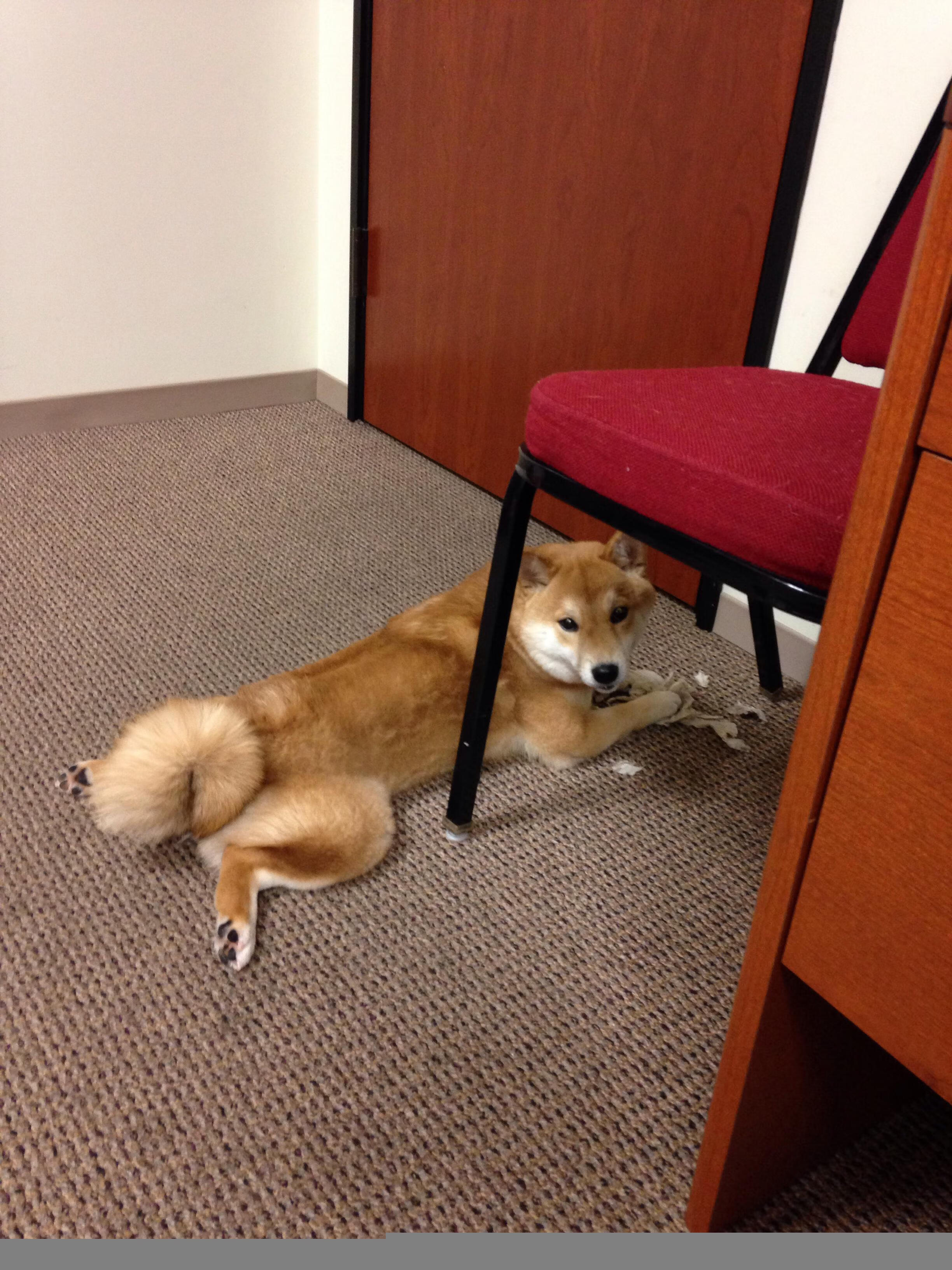 南非之巅，皮克关键制胜，巴萨绝杀AC米兰铸就传奇