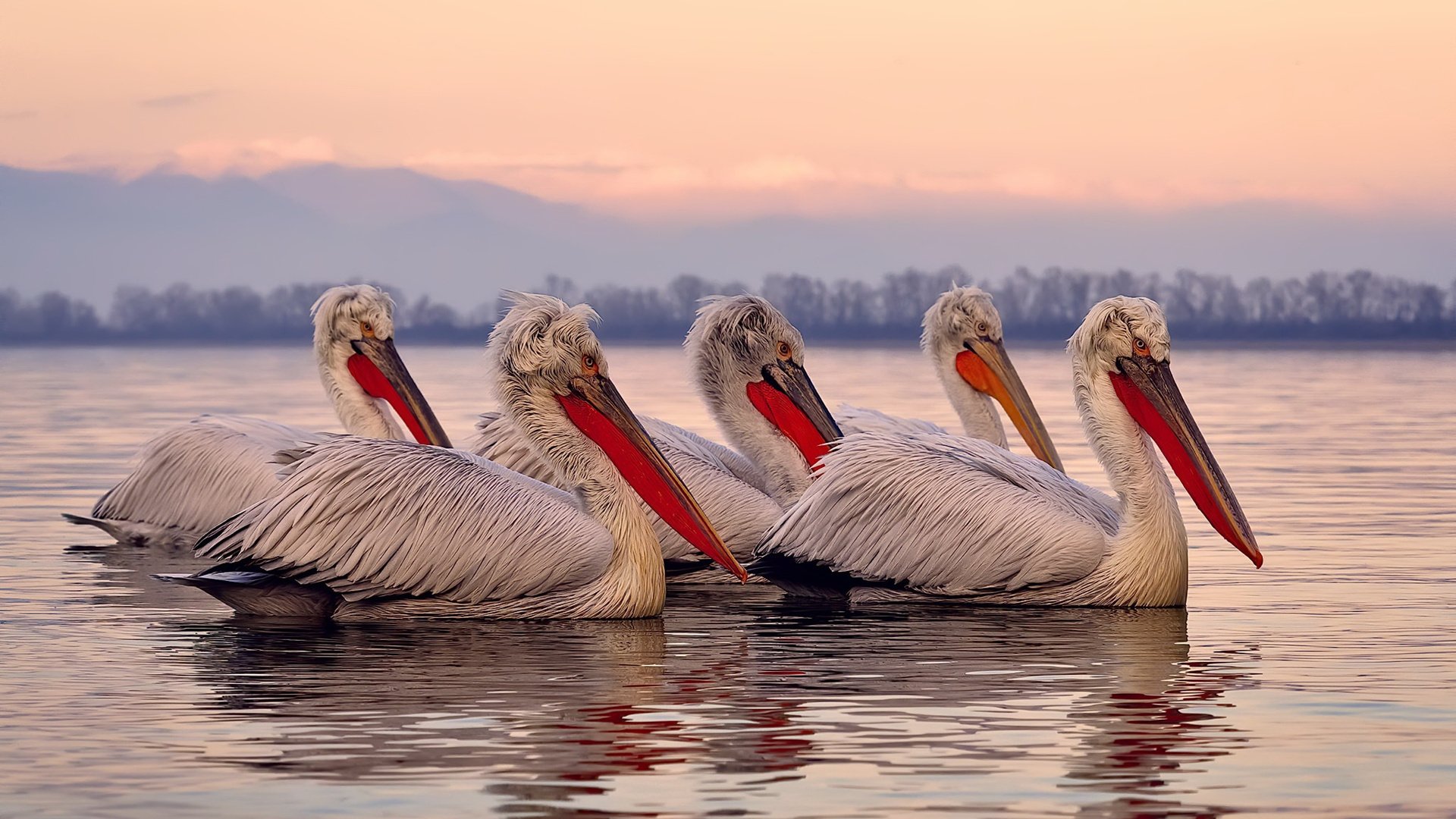 冰与火的艺术,当老妇人的针线刺穿冰岛的长城