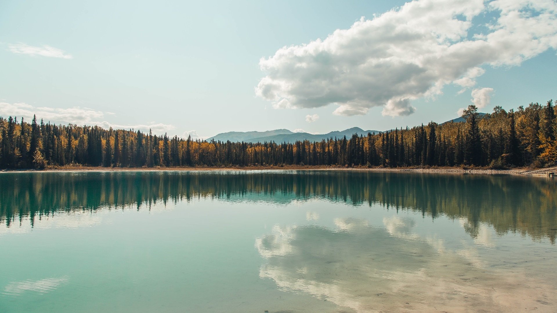 节奏掌控者，从莱比锡红牛的压迫到佛罗伦萨的优雅，拉什福德如何成为胜负天平上的关键先生