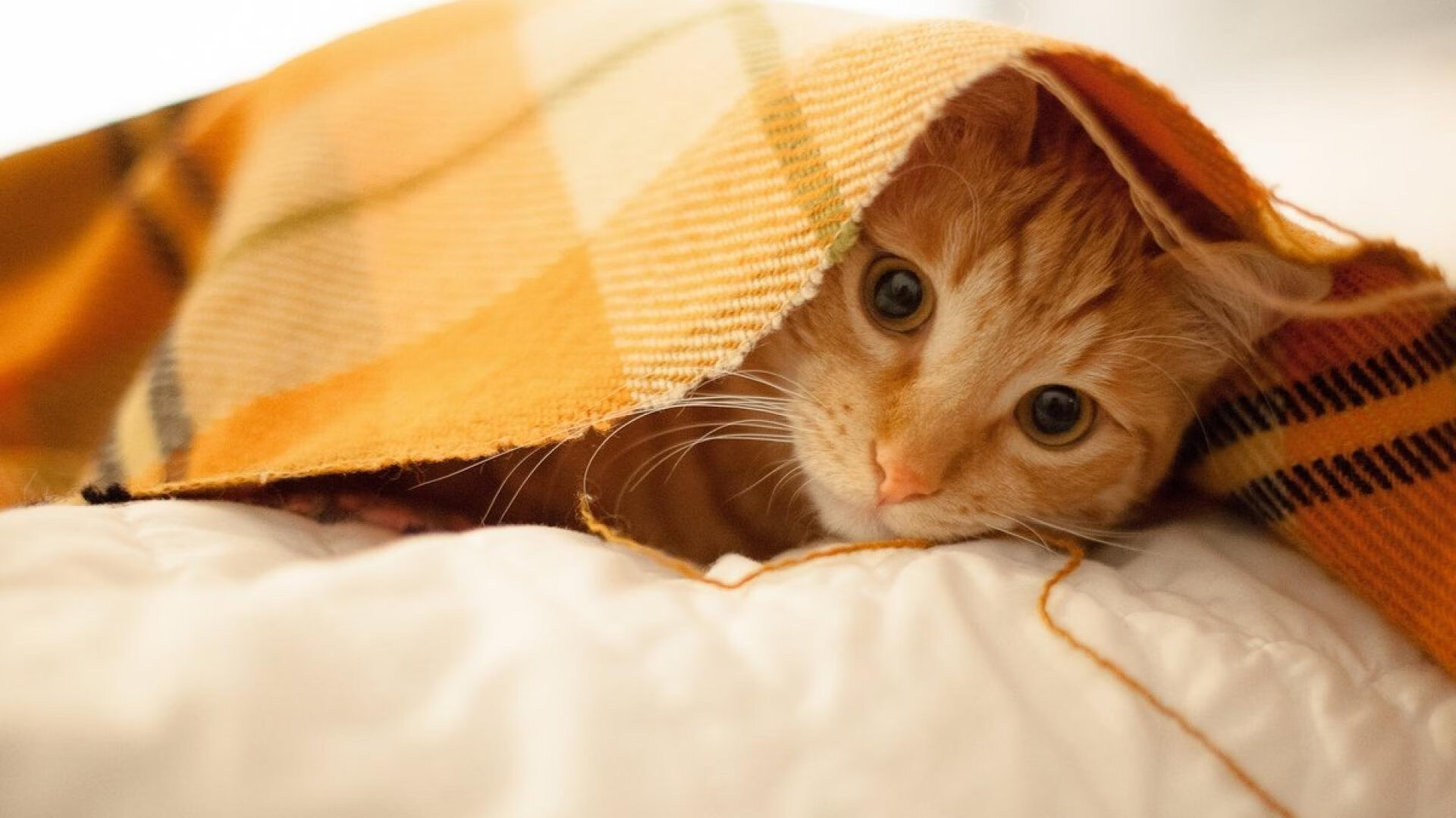 奥运大门最后的钥匙，基米希在最后时刻的点射救赎