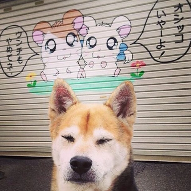 狂飙45分！福克斯刷新纪录之夜，开拓者全队发力碾压广厦