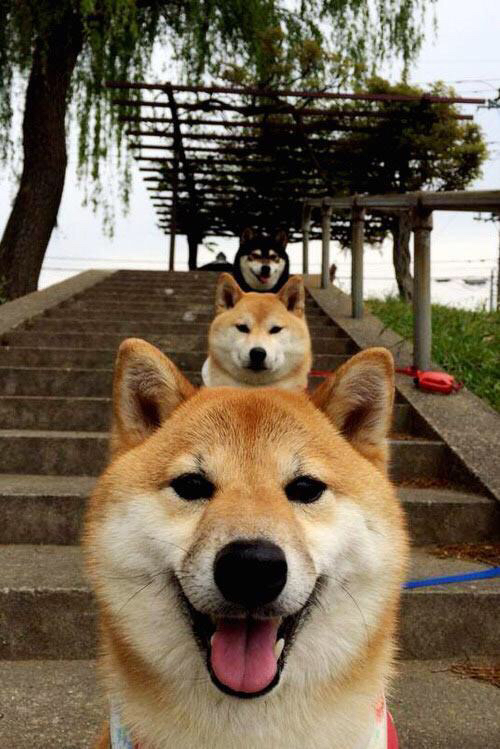 星月逆转，迪巴拉金左脚照亮足球荒漠