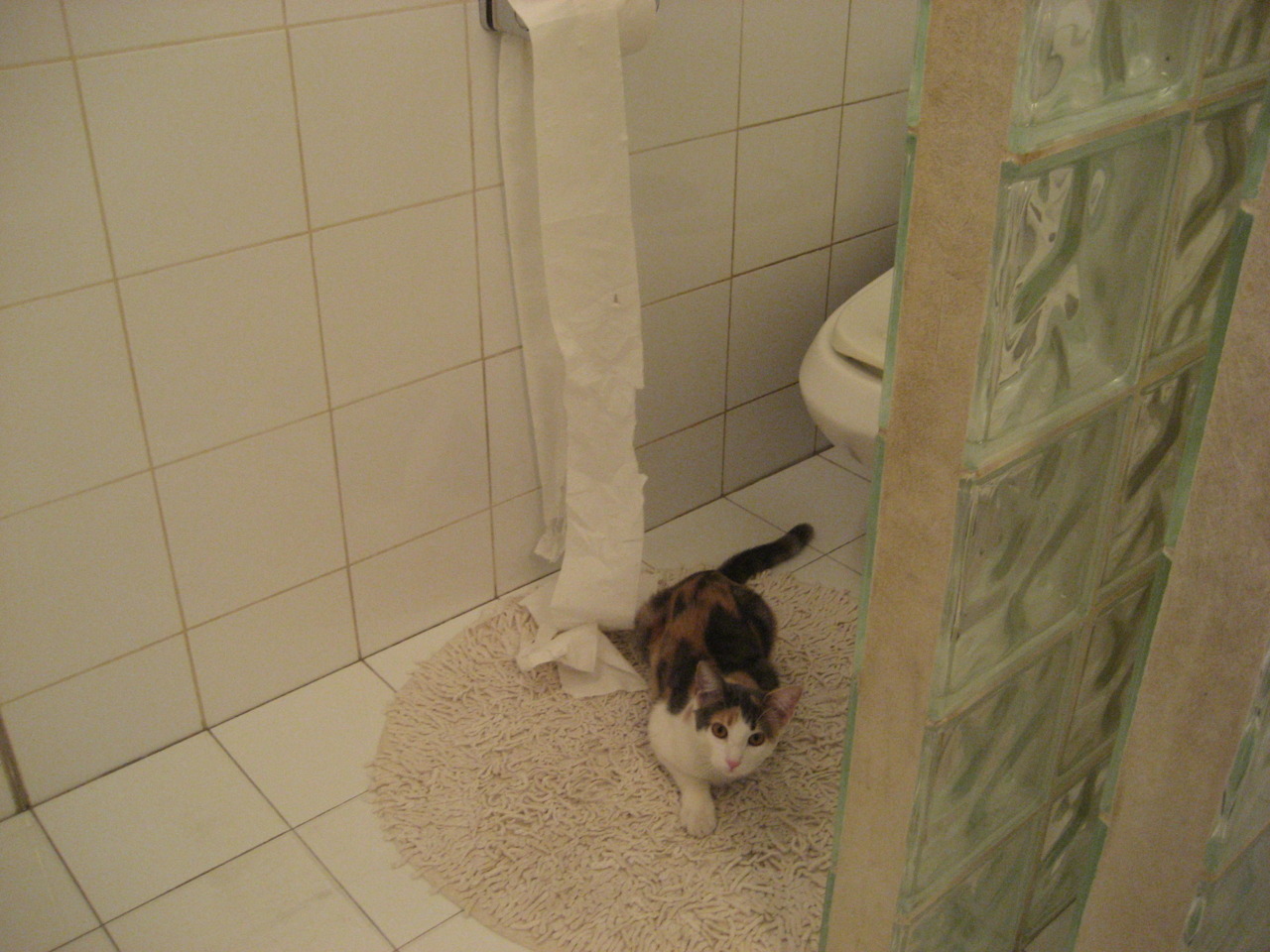 绿茵江湖，黄潜水艇的友谊赛奇袭，孙兴慜成破局之钥