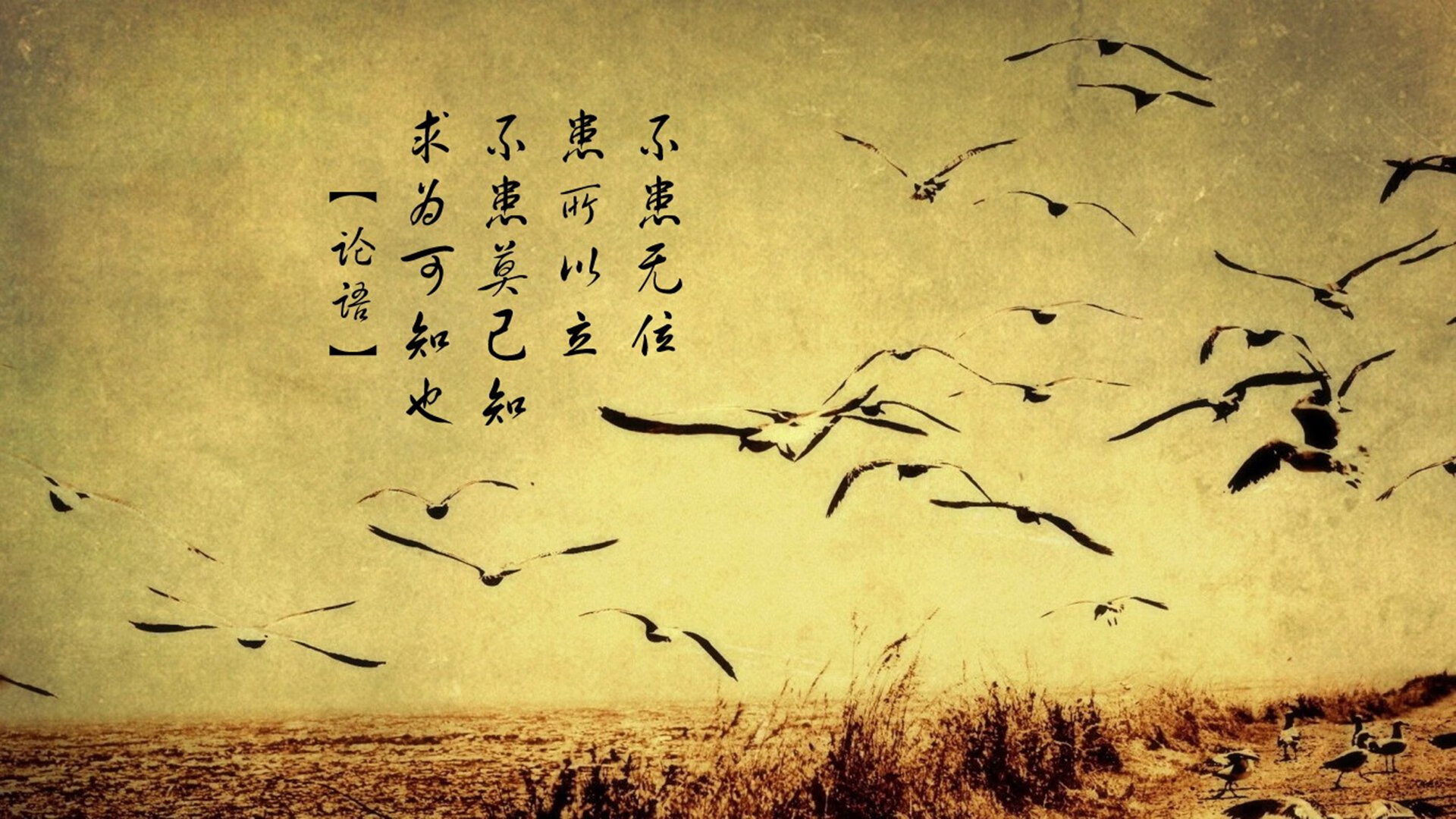 斯通斯的防守美学，欧冠淘汰赛之夜，他以沉默主宰战场