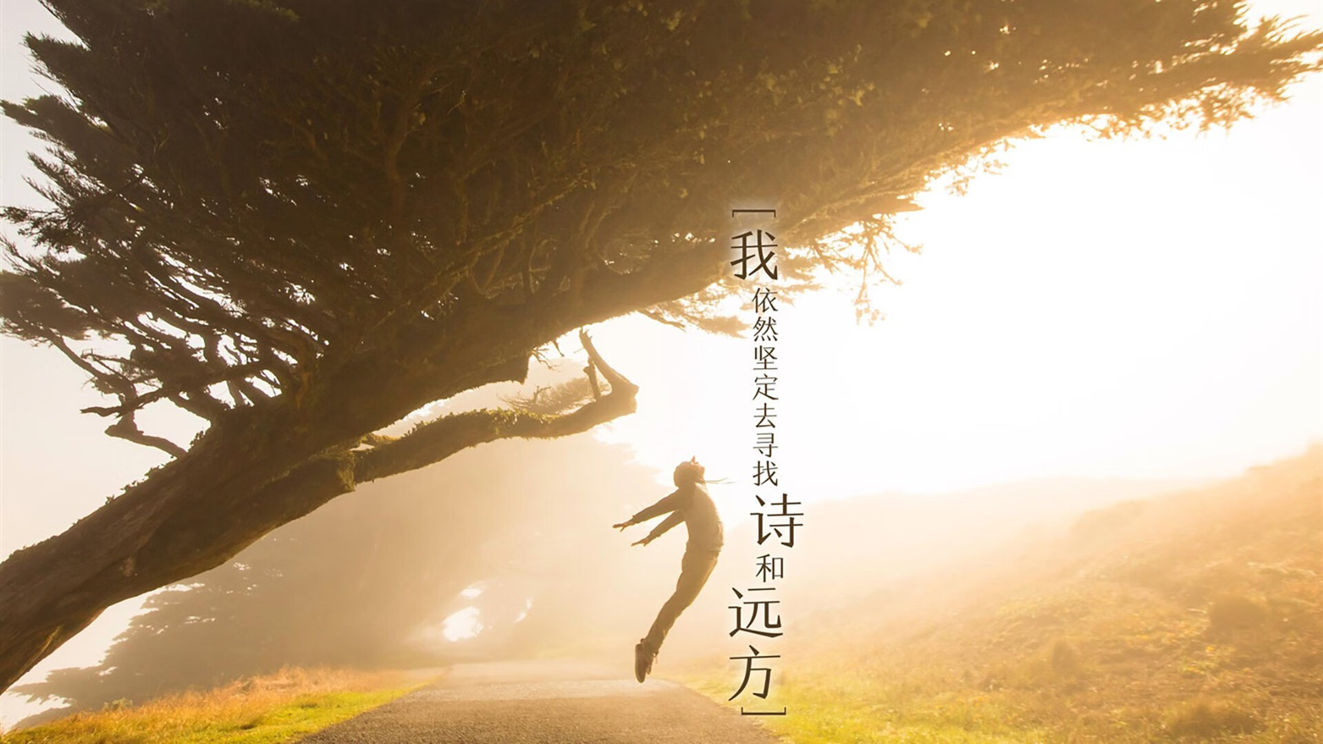 跨界风暴，加纳精神从亚特兰大注入F1，格纳布里揭幕战上演逆袭接管