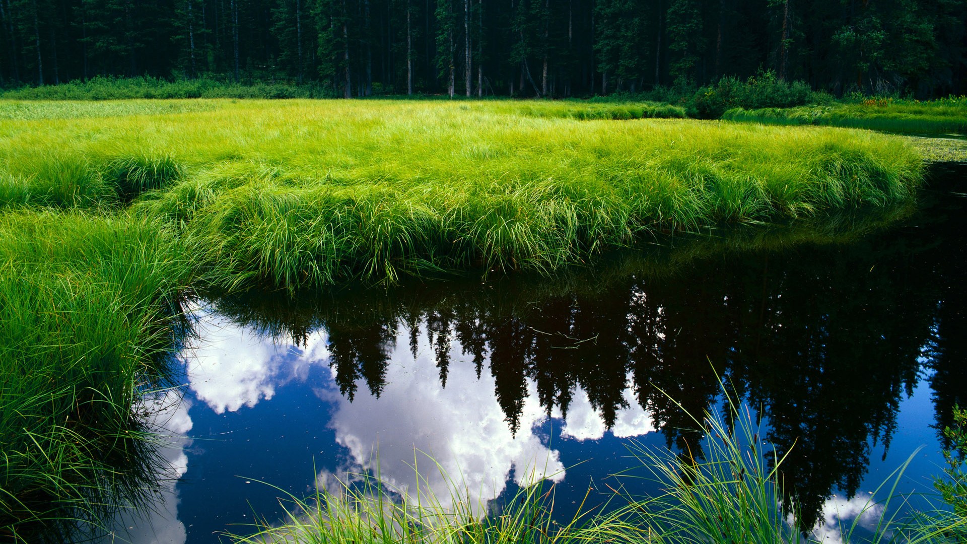 破晓之战，卡马文加魔幻夜 丹麦提前终结悬念 中国赛场见证历史