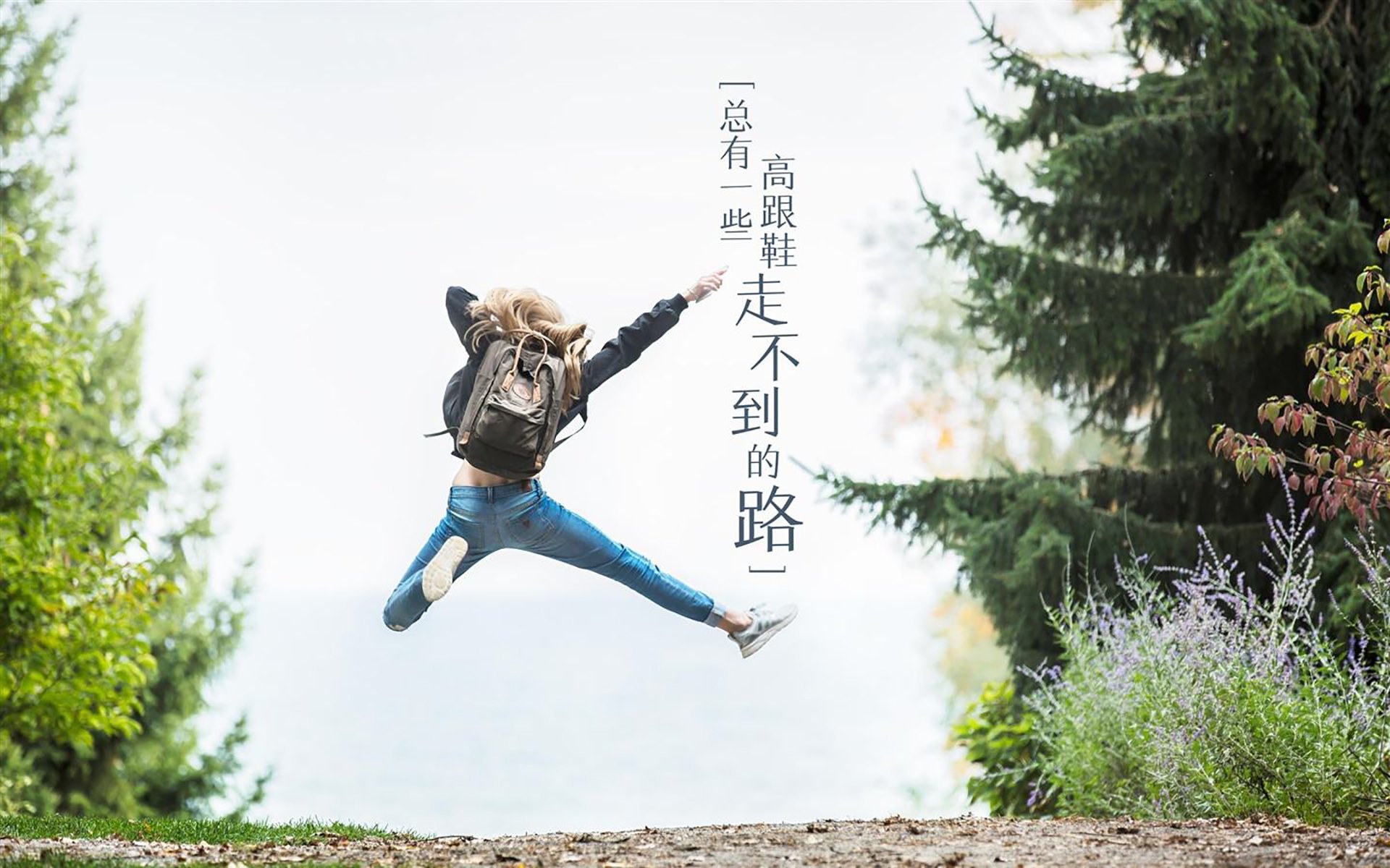 2026美加墨·E组风云,当东欧铁骑碾过航海家,京多安的中场独舞改写死亡之组剧本